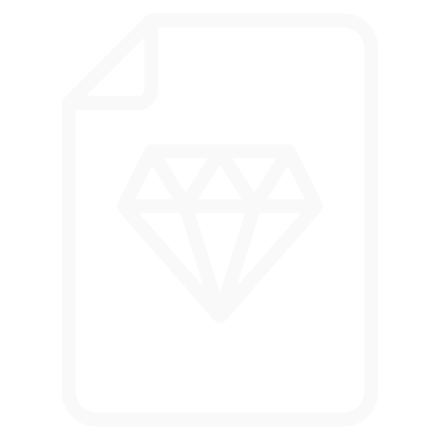 Premium Document Icon